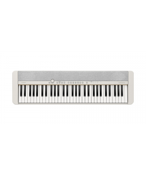 casio_ct-s1we_1