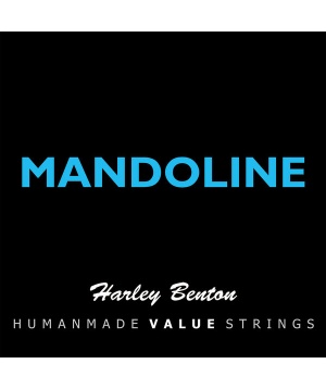 zice_mandolin