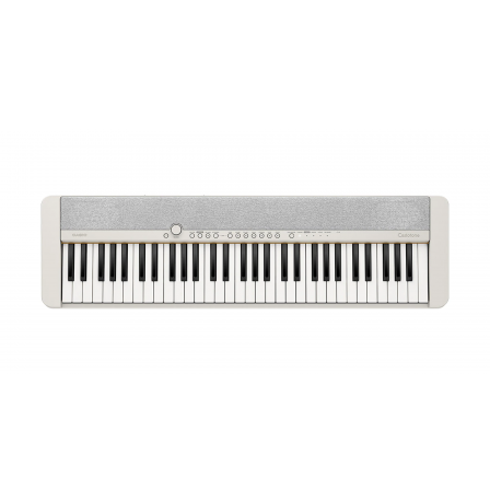 casio_ct-s1we_1