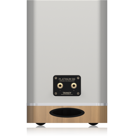 tannoy_platinum_b6_white_3