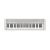 casio_ct-s1we_1