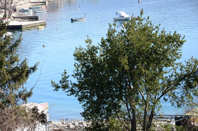 Krov kompleksa Palma