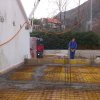 Vila Abrakinosović