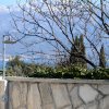 Vilaabr Abrakinosovic