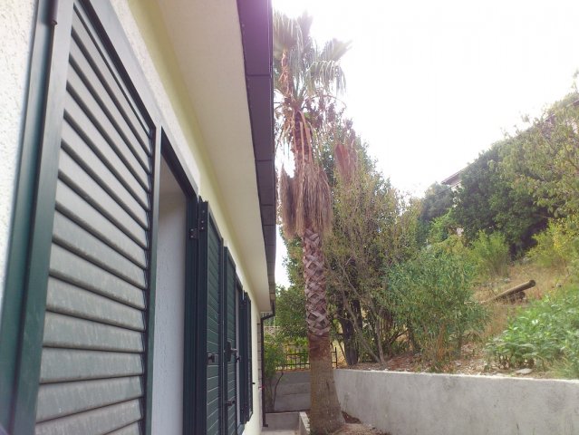 Vila Djenovići