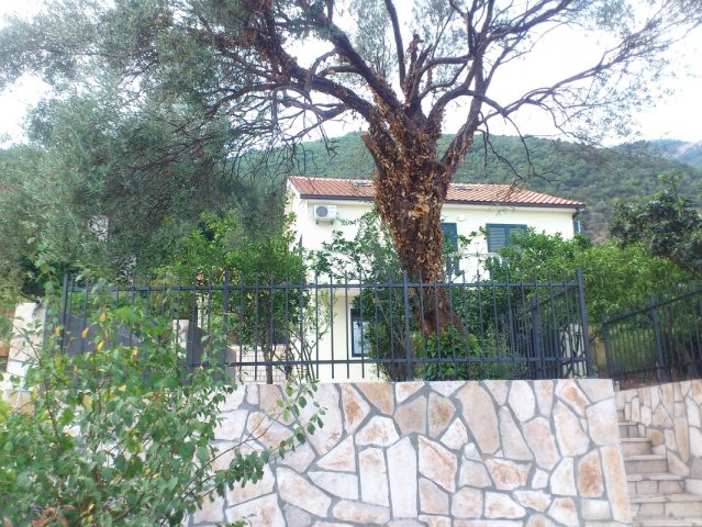 Vila Djenovići