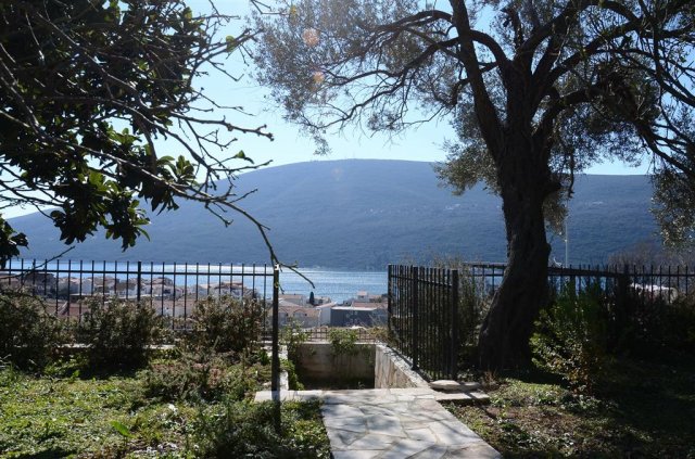 Vila Đenovići