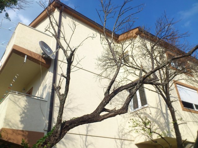 Kuca u Zelenici